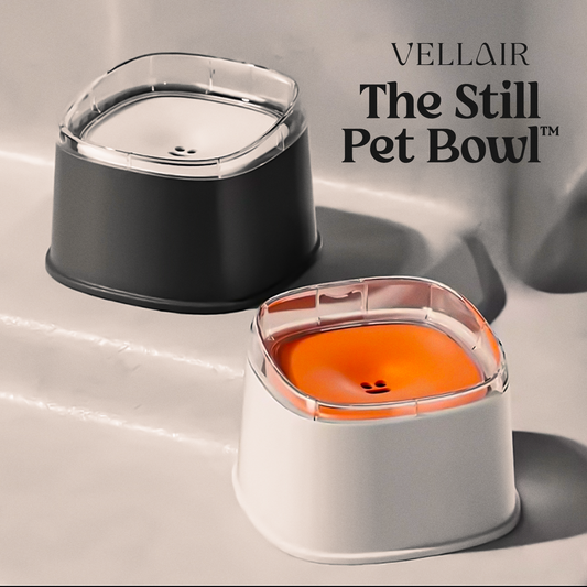The Still Pet Bowl™